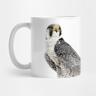 Peregrine Falcon on the cliff Mug